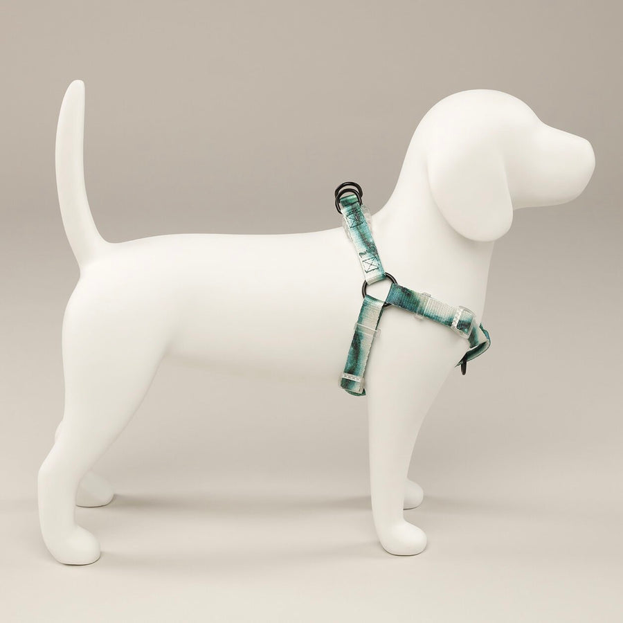 EDDGY 100% Recycled Maximus Dog Harness Sticks & Socks Dog Store Shop Luxury 