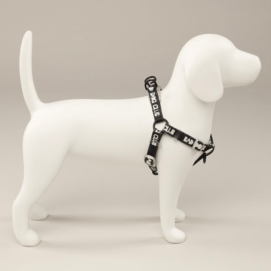 EDDGY 100% Recycled Bad Dog Club Dog Harness Sticks & Socks Dog Shop