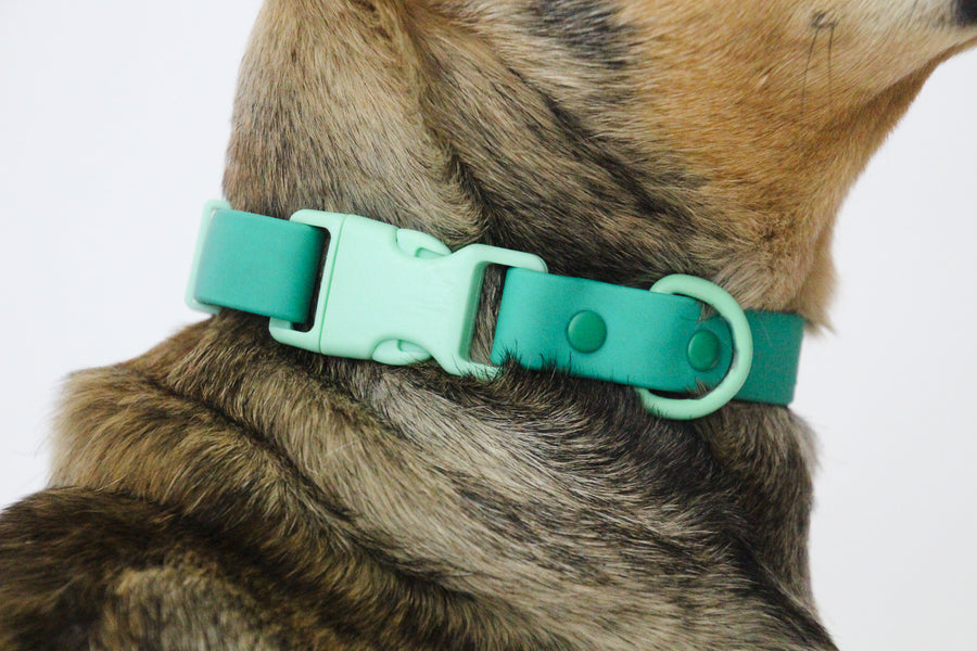 Green Waterproof Dog Collar