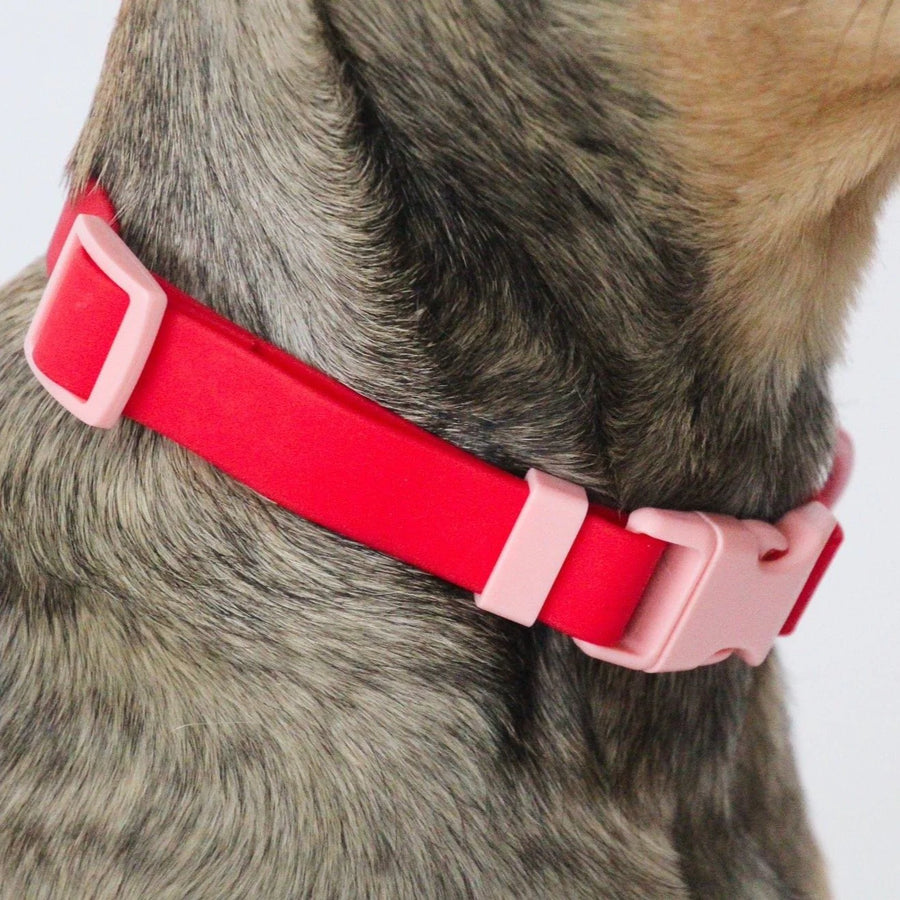 Red Waterproof Dog Collar