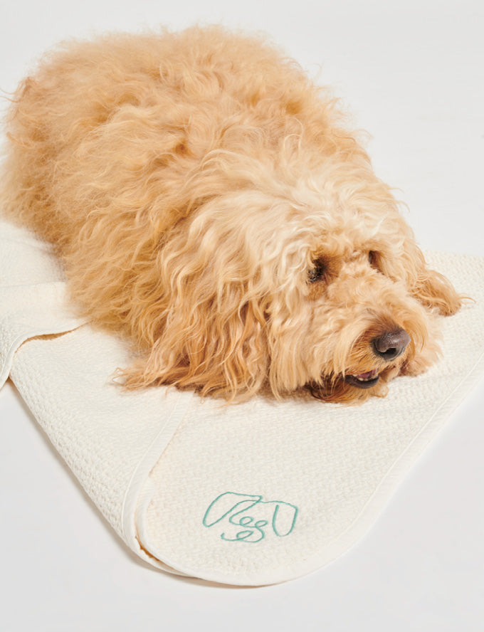 Pawness Organic Cotton White Dog Blanket