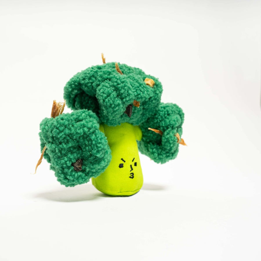 The Furryfolks Broccoli Nosework Toy Sticks & Socks Dog Lifestyle Store
