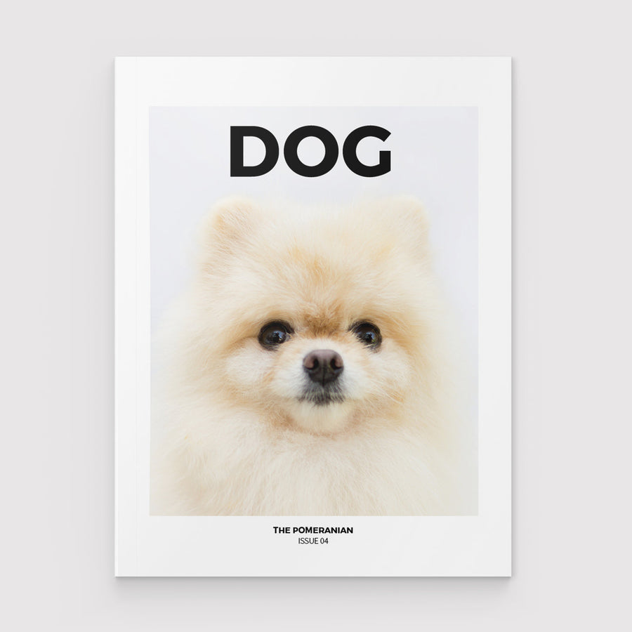 Dog Mag The Pomeranian