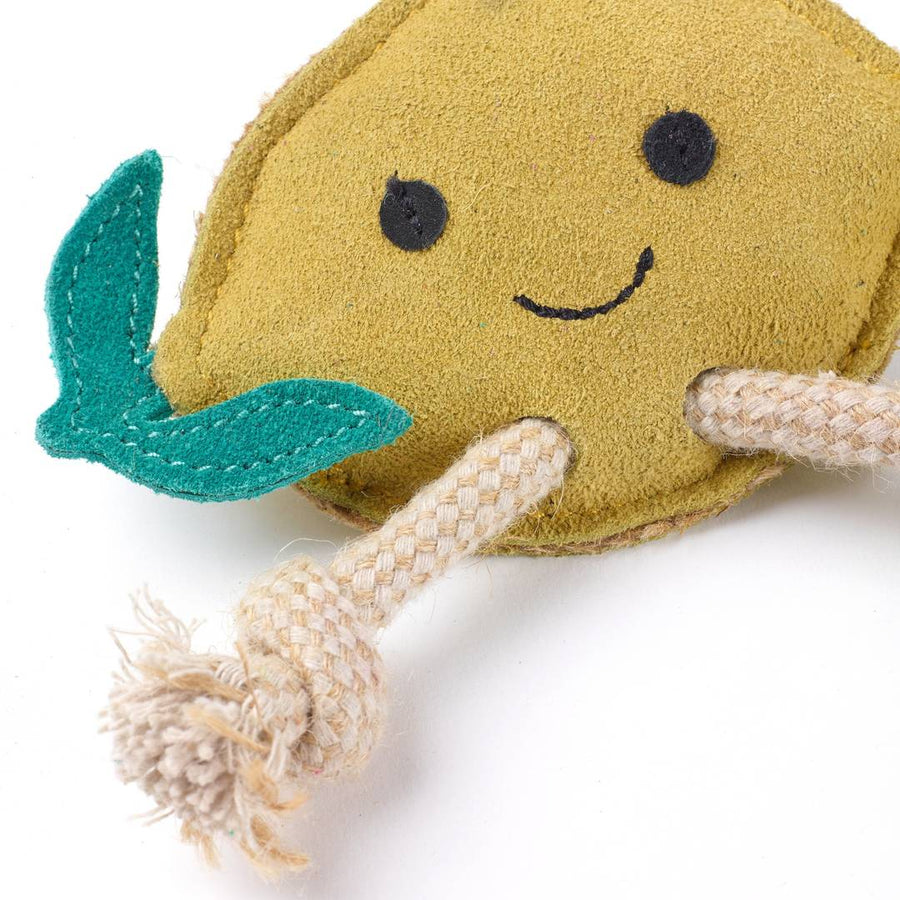 Green & Wilds Libby the Lemon Eco Dog Toy Sticks & Socks Ancoats 