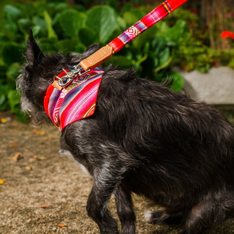 Hiro + Wolf Inca Orange Dog Bandana