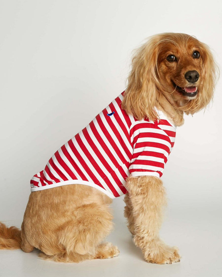 The Painter's Wife David Organic Cotton Dog T-Shirt in Red