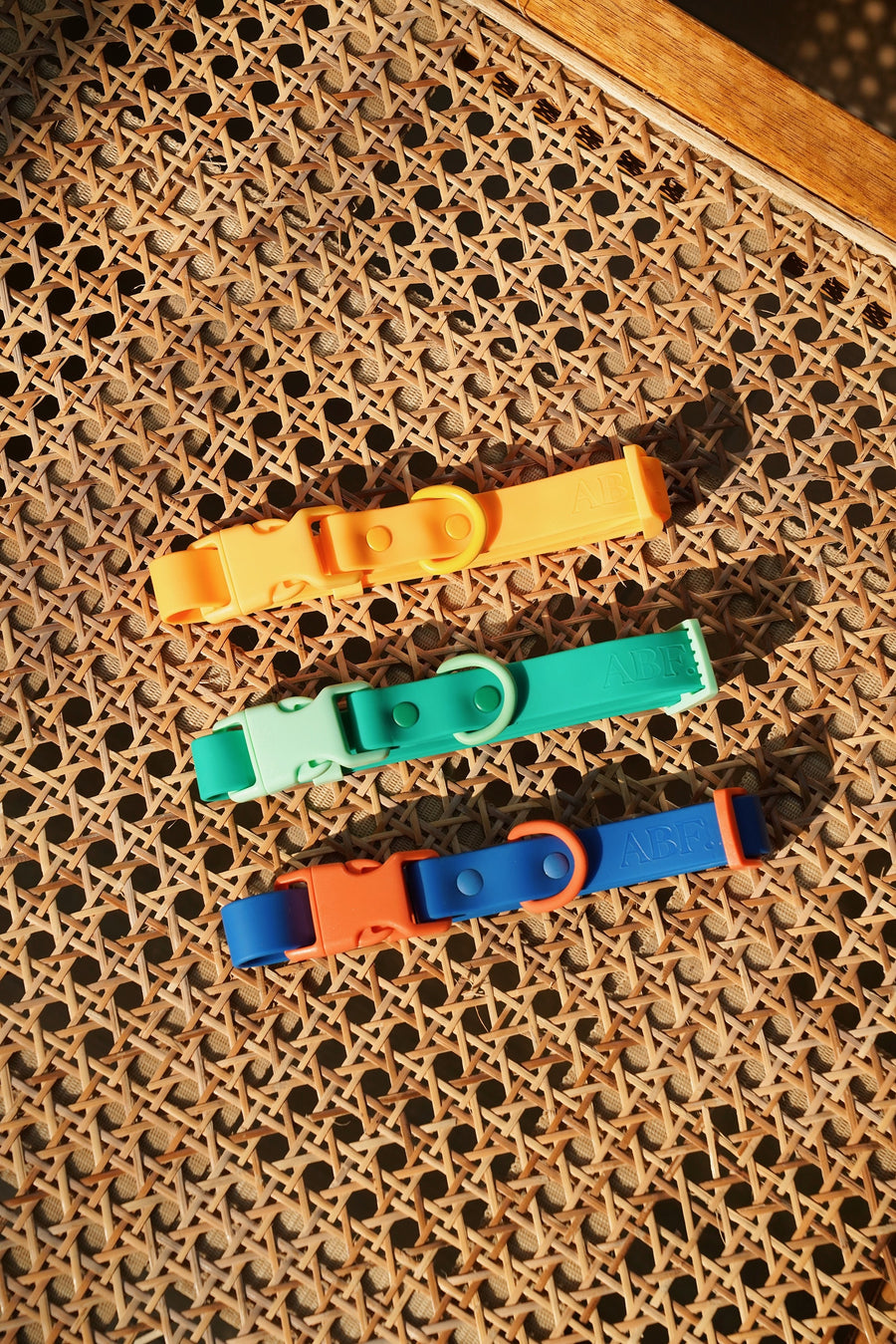 Approved by Fritz Orange Mango Dog Collar Sticks & Socks Dog Lifestyle Store