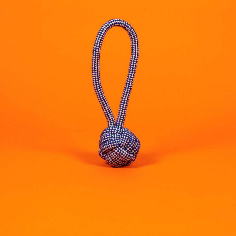 Ware of the Dog Rope Knot Toys