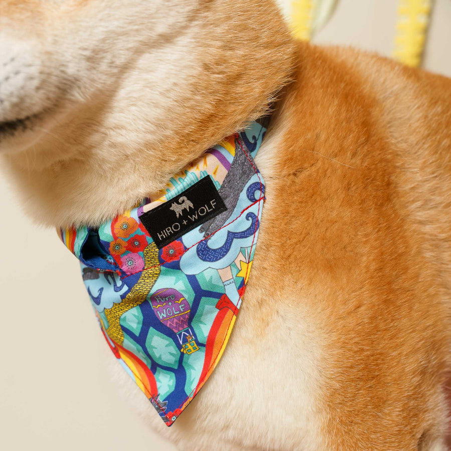 Hiro + Wolf Wizard of Dog Bandana