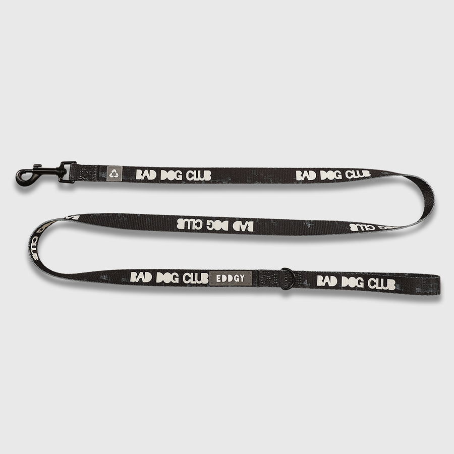 EDDGY 100% Recycled Bad Dog Club Dog Lead Sticks & Socks Dog Store