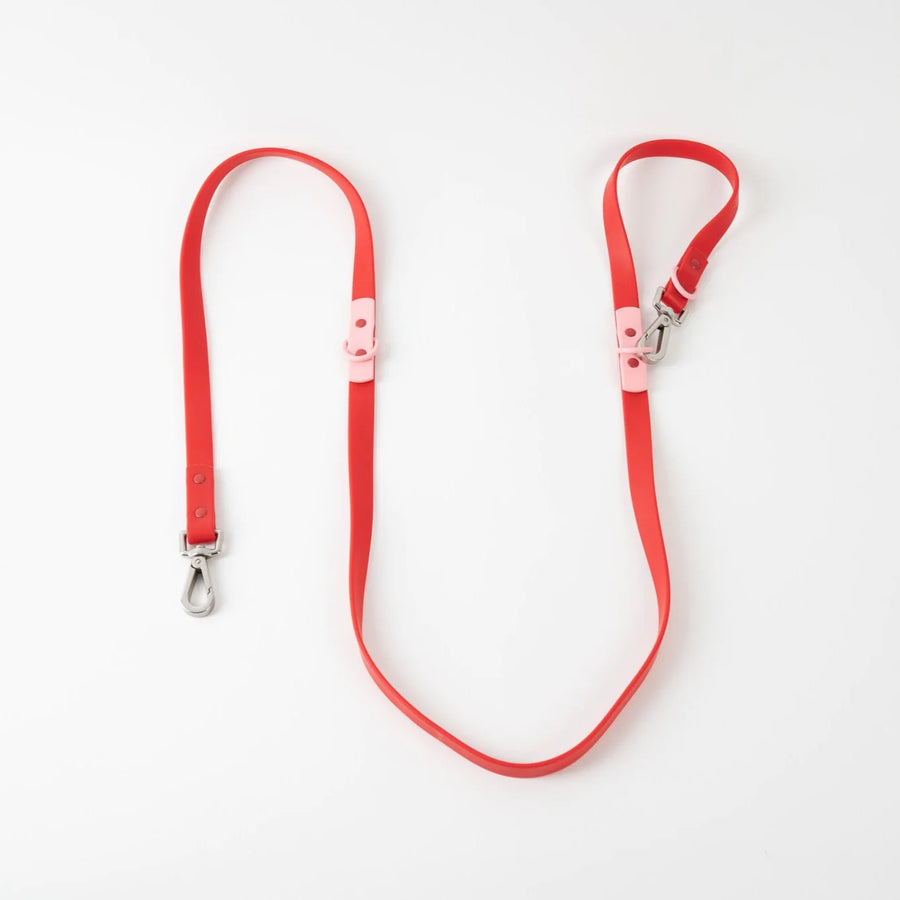 Waterproof Red Dog Lead