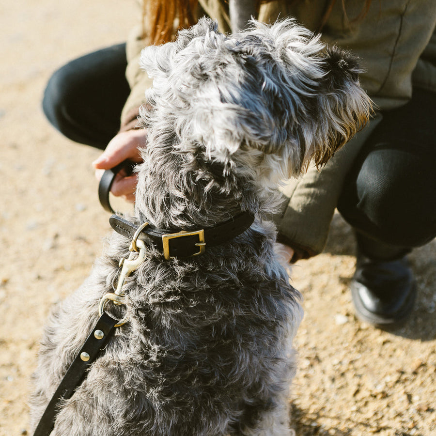 Kintails Black Leather Dog Collar