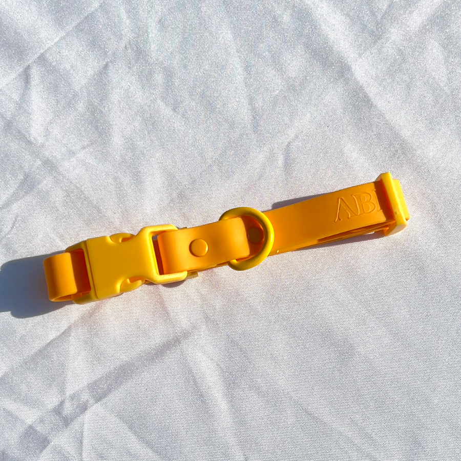 Approved by Fritz Orange Mango Dog Collar Sticks & Socks Dog Lifestyle Store