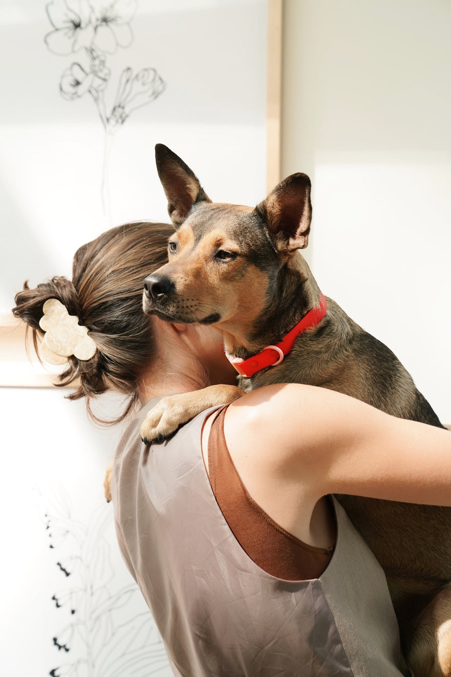 Red Waterproof Dog Collar