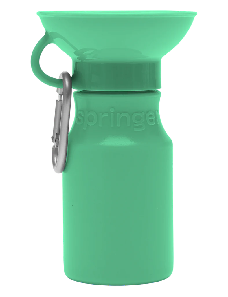 Green 2024 dog shipping