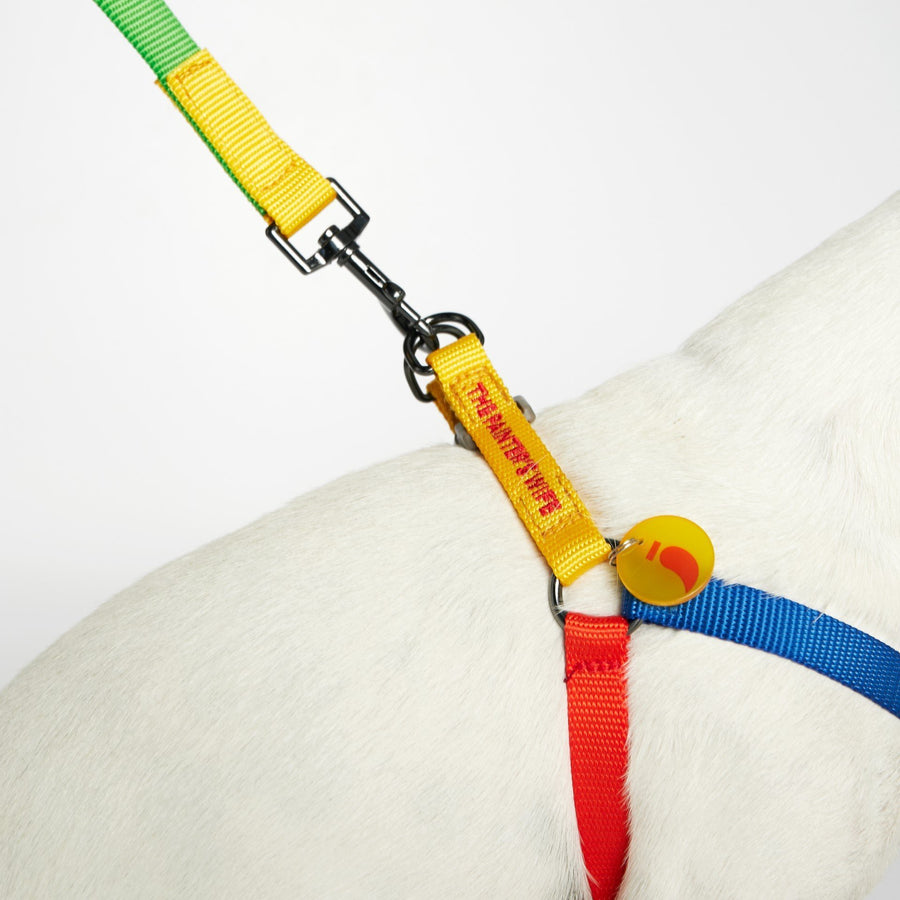 The Painter's Wife Sonia Dog Harness