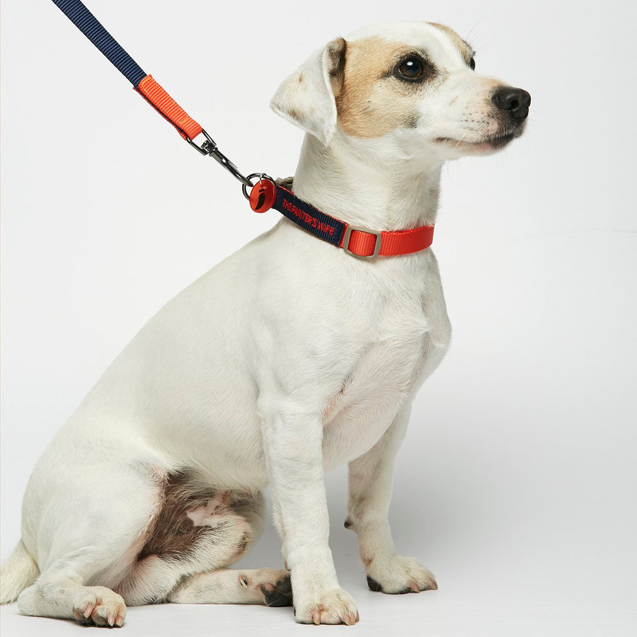 The Painter's Wife Sonia Dog Lead in Vermillion & Navy