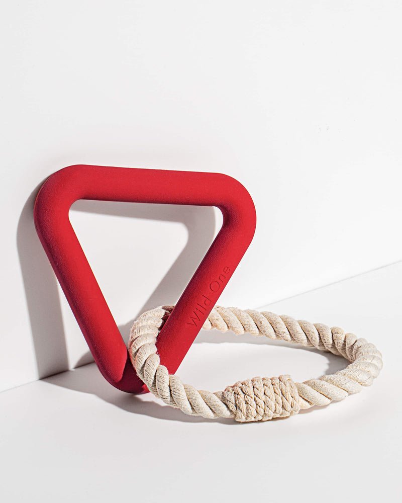 Wild One Triangle Toy in Red
