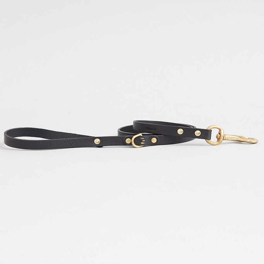 Kintails Skinny Leather Dog Lead