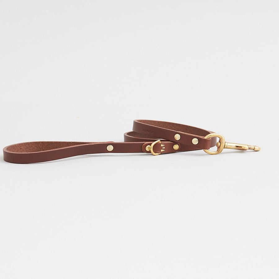 Kintails Skinny Leather Dog Lead