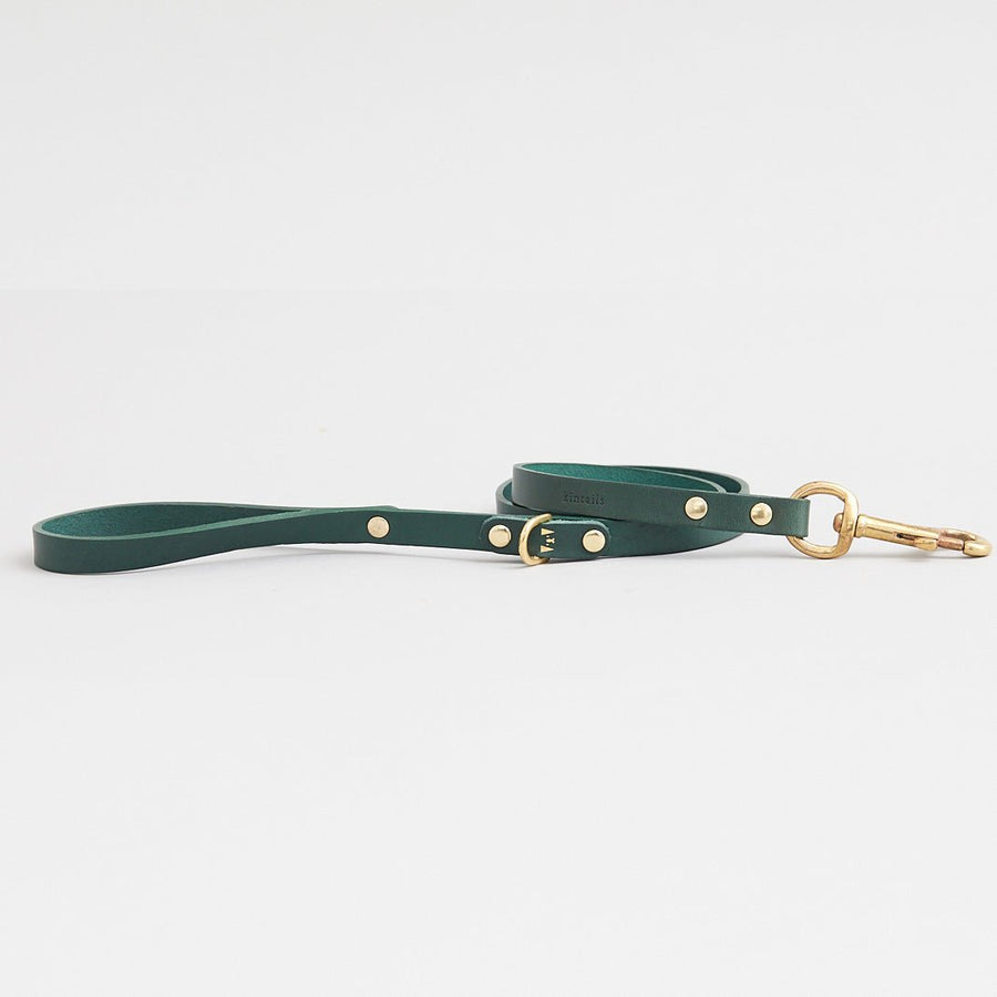 Kintails Skinny Leather Dog Lead