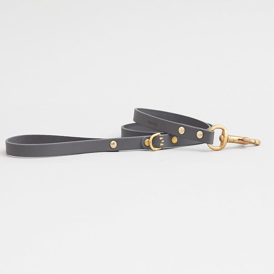 Kintails Skinny Leather Dog Lead