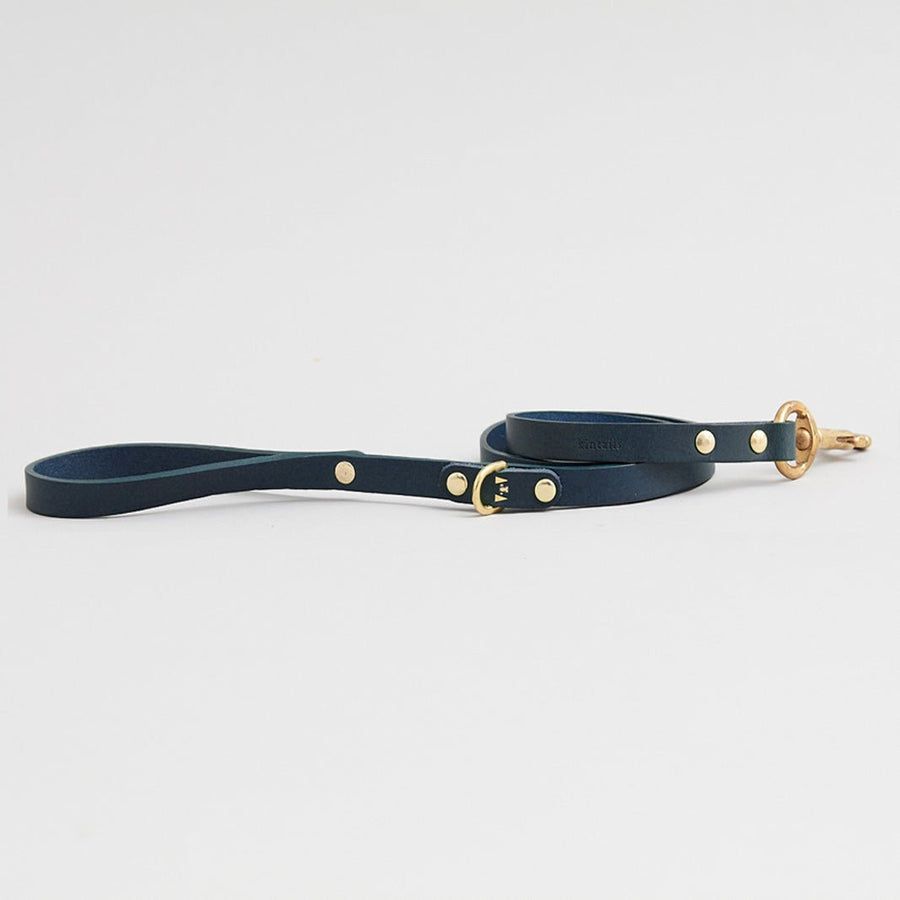 Kintails Skinny Leather Dog Lead